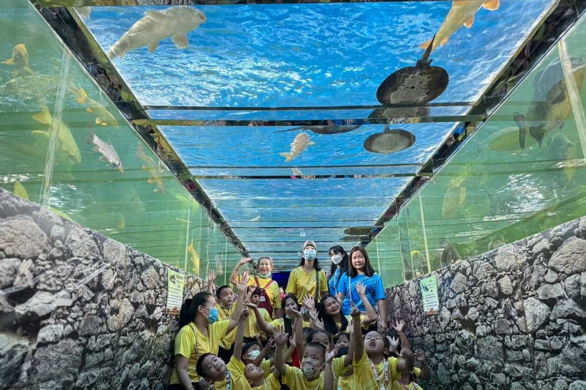 monster aquarium pattaya tunnel
