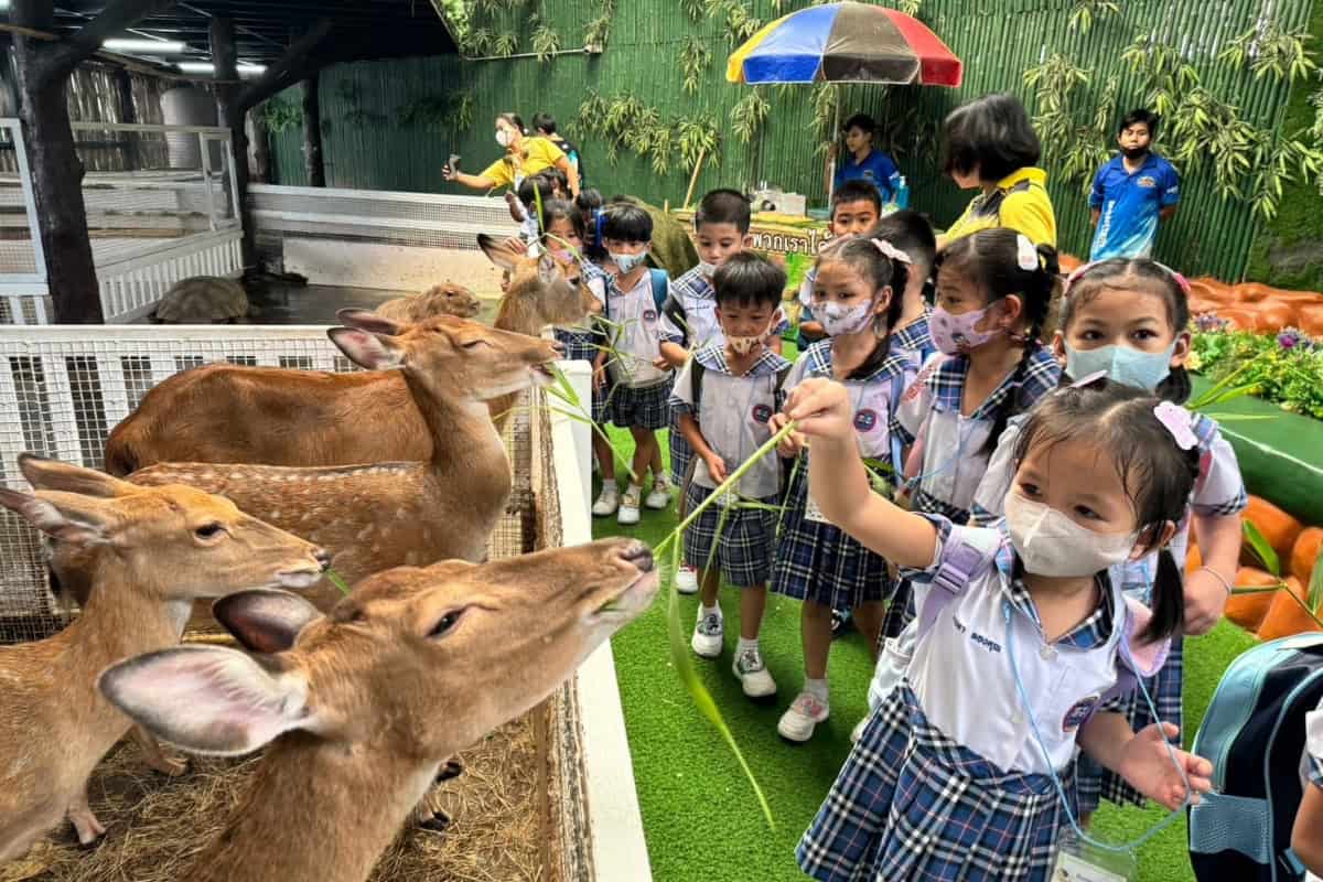 kids on a field trip at monster aquarium pattaya