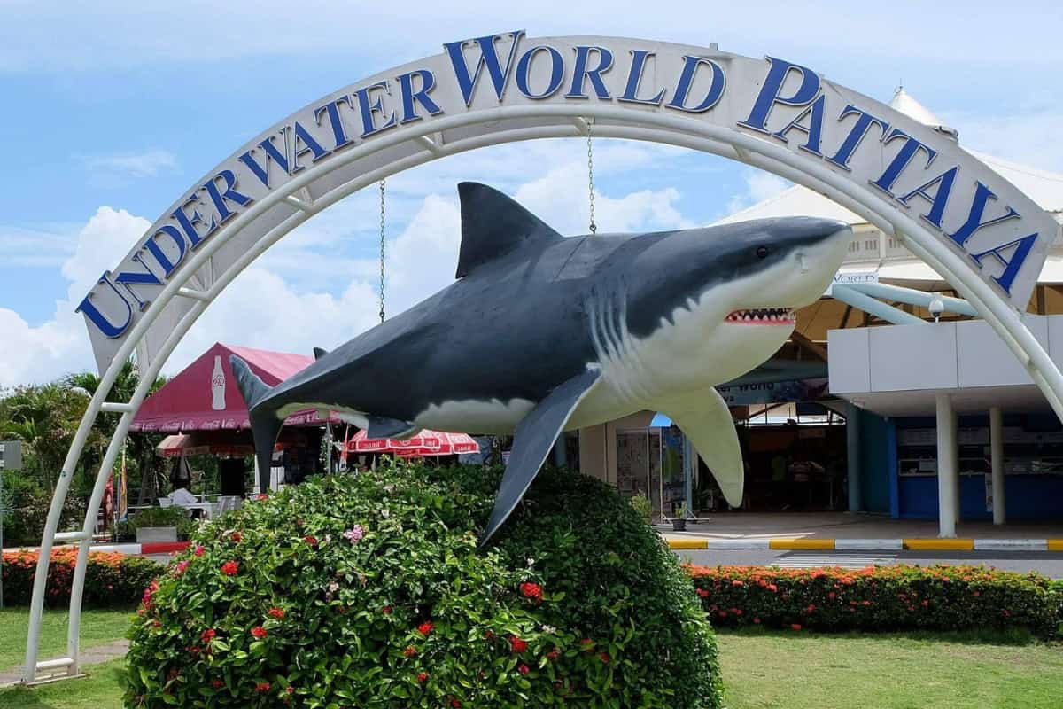 underwater world aquarium in pattaya