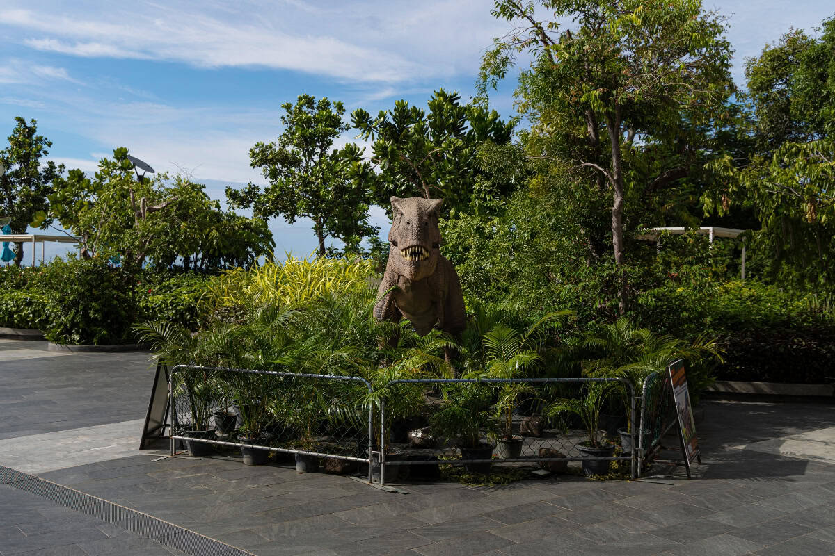 t-rex dinosaur replica at the royal cliff beach hotel