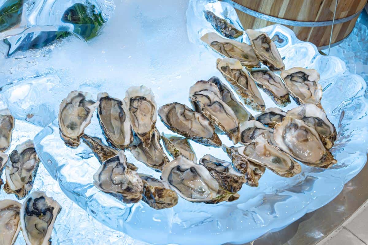 Saturday-Grand-BBQ-46