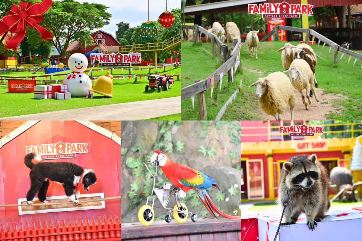 Family Park ฟาร์มแกะในพัทยาที่เหมาะสำหรับครอบครัว