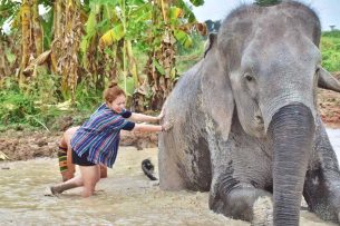 ELEPHANT SANCTUARY PATTAYA